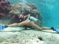 Nikki. Thorne laiha dipping