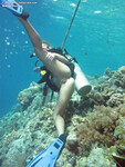 Nikki. Thorne laiha dipping