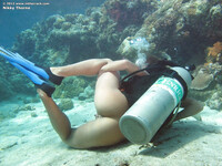Nikki. Thorne laiha dipping
